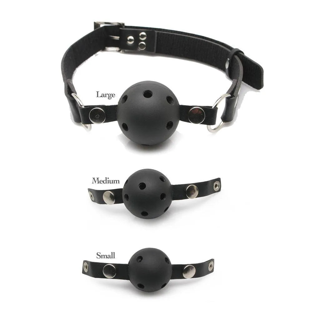 Fetish Fantasy Series Ball Gag Training System - Rapture Works