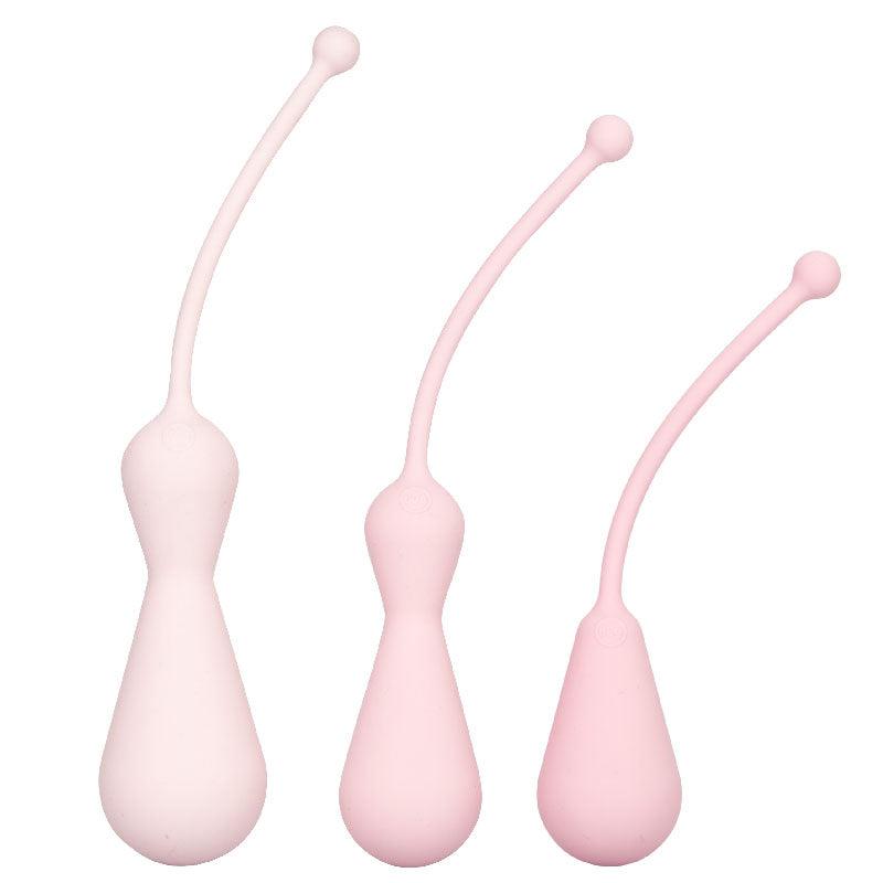 Inspire Weighted Silicone Kegel Training Kit - Rapture Works