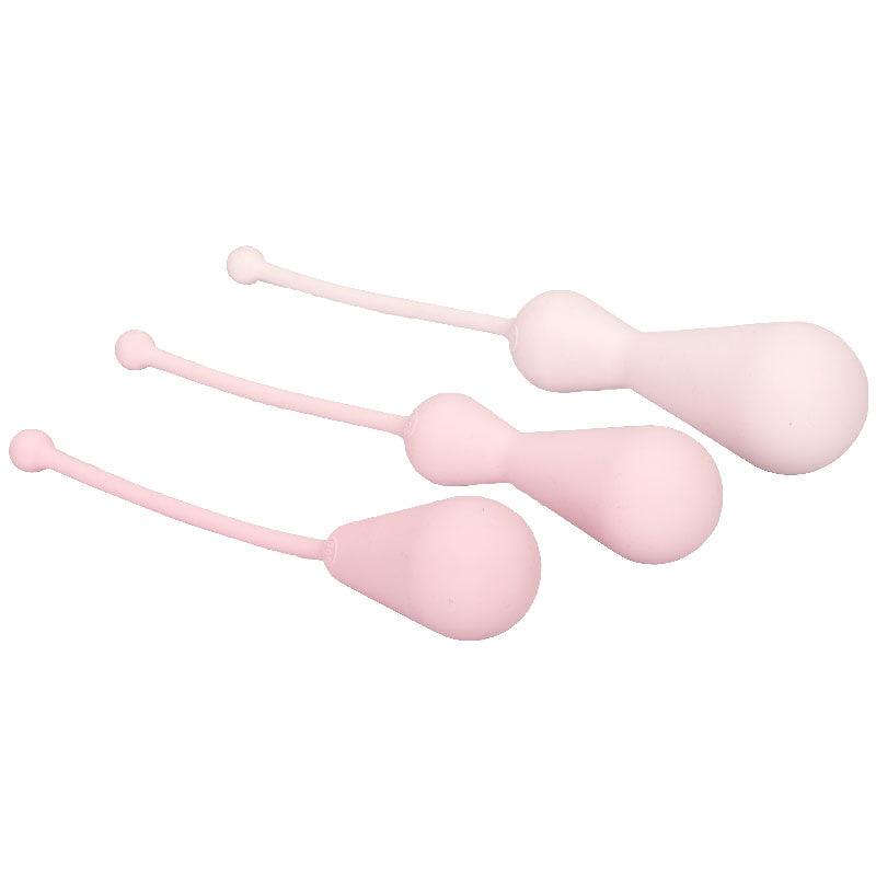 Inspire Weighted Silicone Kegel Training Kit - Rapture Works