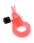 Jelly Rabbit Vibrating Cock Ring - Rapture Works