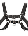 Ouch Chest Bulldog Harness Black Large to X Large - Rapture Works