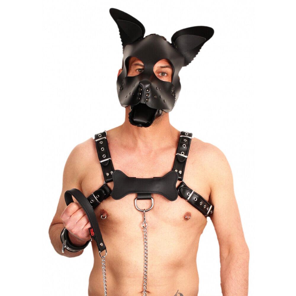 Red Leather Puppy Dog Mask - Rapture Works