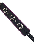Rouge Garments Black And Purple Padded Collar - Rapture Works