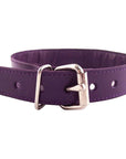 Rouge Garments Purple Studded O-Ring Studded Collar - Rapture Works